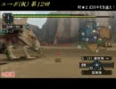 【MHP2G】ユクモ村からポッケ村に(仮) 第12回 ライトボウガン （２倍速）