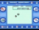 【ハナダの洞窟】ポケモン青を少し縛ってみた～おまけ２～【行くよ】