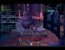 【TERA】邪悪なクリスト ソロ【バーサーカー】