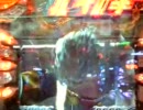 111207_200230.3gp