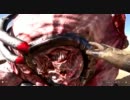 Serious Sam 3: BFE - シングルプレイ part37