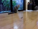 見失ってます