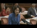 12.08参議院東日本大震災復興特別委員会たかがい恵美子議員（自民）