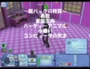 【sims3】ヒゲ面発明家 part.15