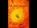 赤西　仁【eternal】唄ってみた。