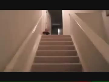 赤ちゃんの本気