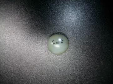 石で（´・ω・｀）をつくってみた