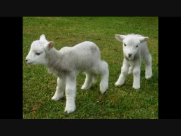 ゆっくり駅めぐり【海芝浦編】