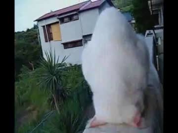 申し訳ございません！！