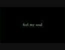 【庶民様】Kimeru TOUR 2009 DISCOVER 『Feel my soul ～闘いの中で～』【LIVE】