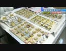 偽の金塊や仏像使い500万円詐取　中国人3人逮捕 111207