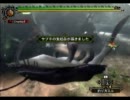 初一本釣！はじめてのモンスターハンター３【１０オンめ】