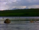 Lake.wmv