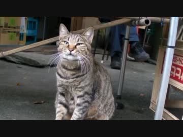 ninja400rで四国ツーリング　その４