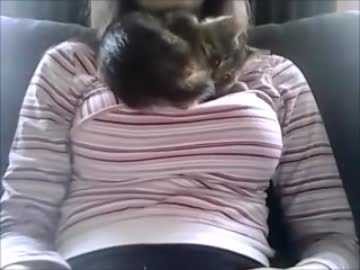 子猫のお気に入りの場所