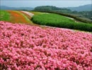 【ニコ生用】いい感じの洋楽メロディー【作業用BGM】