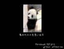 ( ＾ω＾)＜自己紹介するお