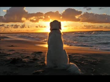 A Perfect Sky(Trance Remix)