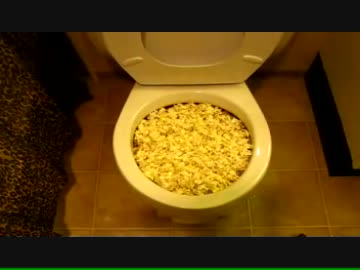 大量のポップコーンをトイレに流してみた