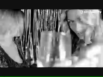 Swanky Tunes & Hard Rock Sofa - I Wanna Be Your Dog (Official Music Video)