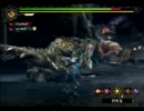 HR29！はじめてのモンスターハンター３【１１オンめ】