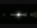[Weballergy] 2人で弾いてみた　[Sonata Arctica]