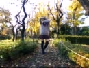 【ののか】ハロ／ハワユ踊ってみた【誕生日!】