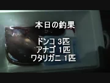 クルマで釣りに行こう♪