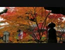 2011年紅葉の京都・滋賀に行ってきた(13)【今熊野観音寺～】