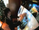 【maimai】クラブセガ秋葉原 12/16 10:31 ハッピーシンセサイザ EXPERT