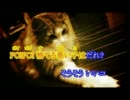 PONPONPON - acoustic guitar.ver -【yuyi】