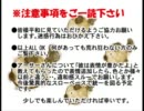 【ＡＰヘタリア】ＲＰＧかも～！part7