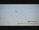 【ニコニコインディーズオリジナル曲】Metaphor【creep】