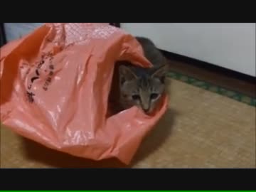 君と猫とこたつカバー