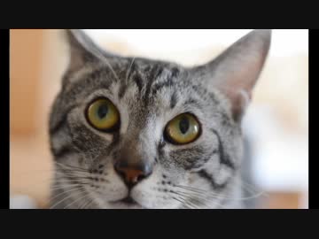 ひとりかくれんぼをざっくり検索してみた！