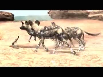 鎌首の『AFRIKA』満喫生活(9)