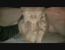 ケツかいーなー(-_-)/~~~