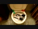 ぱぺいこＰをトイレに流してみた
