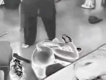 ぼくモグ（池沼）