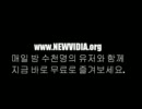 리니지2 뉴비디아 서버 홍보-여신님-