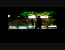 ルカルカ★ナイトフィーバーを踊ってみた【DANCEROID台灣試跳舞者選拔賽】