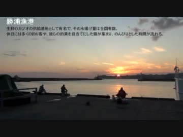 千葉県勝浦市へようこそ！