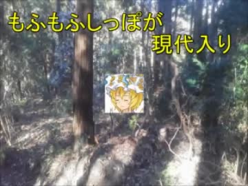 もふもふしっぽが現代入り　第１話