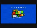 とことん遊ぶ！マリオ３Ｄ公式プレイ映像 その２