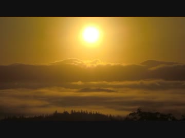 ２万円で北海道行ってみた！よっかめ！