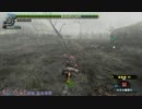 HC下位ドスファンゴへビィソロ
