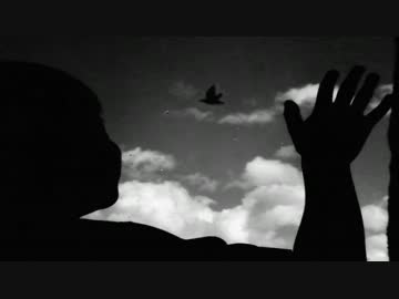 Dawn Chorus Ignites - Take Me With You