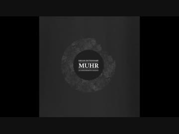 Muhr - The Fox
