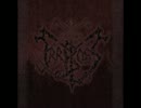 Irrbloss - As We Lived
