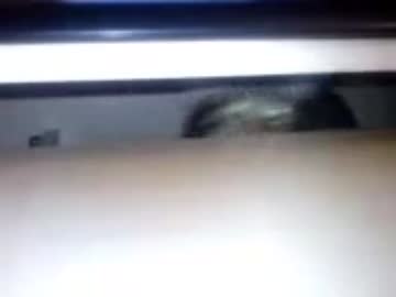 ネコの回収業者！！